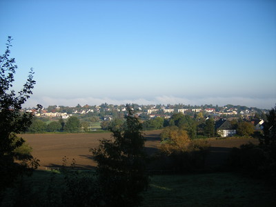 Autum Impression
